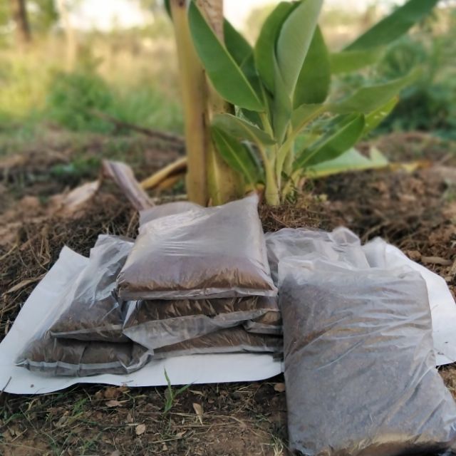 ปุ๋ยคอกขี้วัวออแกนิก  (กิโลละ 10 บาท)