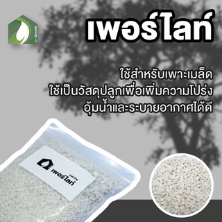 เพอร์ไลท์ LETS Growth