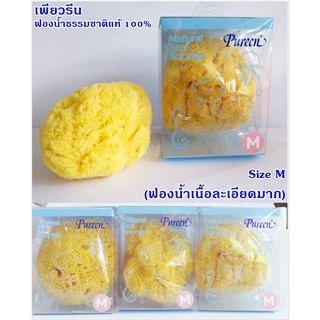 pureen ฟองน้ำธรรมชาติ สายพันธุ์ Fine Silk ไซส์ S, M ฟองน้ำอาบน้ำเด็ก