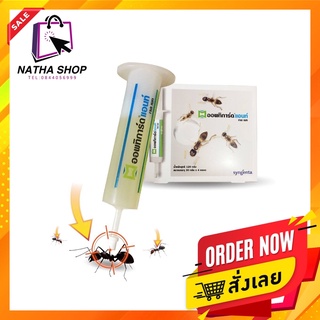 Optigard Ant Gel Bait | ผลิตภัณฑ์กำจัดมด ยากำจัดมด เจลกำจัดมด ออกฤทธิ์รวดเร็ว