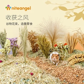 [Hi Hamster] พร้อมส่ง‼️ Harvest Wind Flexseed ธัญพืช มิลเล็ต รองกรง หญ้า Niteangle แอสเพน สัตว์เลี้ยง แฮมสเตอร์
