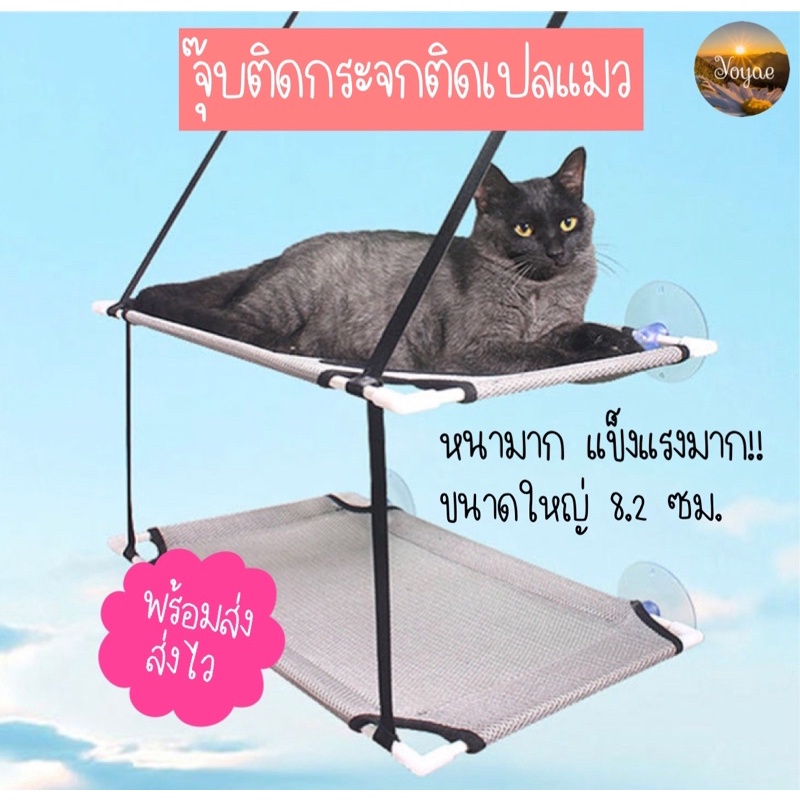 ยางติดเปลแมว จุ๊บติดกระจกติดเปลแมว ของเล่นสัตว์เลี้ยง หนามาก แข็งแรงมาก ตัวใหญ่ รับน้ำหนักเยอะ ตัวติดสูญญากาศ ทาสแมว