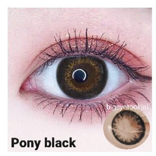 💟 Pony black ๑ สีดำ สายตา -00 ถึง -1000 Wink Sweety Plus Pitchylens Contactlens  Contactlens บิ๊กอาย คอนแทคเลนส์