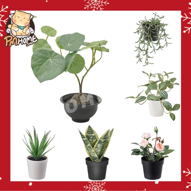 ต้นไม้ ต้นไม้ประดิษฐ์ FEJKA artificial trees flowers ของตกแต่ง