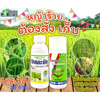 ชุดเก็บหญ้าดื้อยา โกลอะนิล+ไซฮาโลฟอป 500ซีซี*2ขวด (อะนิโลฟอส+ไซฮาโลฟอป) เก็บหญ้าในนาข้าว20-40วัน