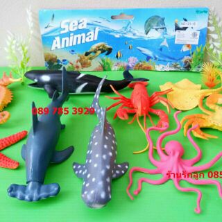 สัตว์ทะเลจำลองตัวใหญ่ Sea Animal โมเดลสัตว์ทะเล โมเดลสัตว์ทะเลจำลอง ปลาทะเลจำลอง