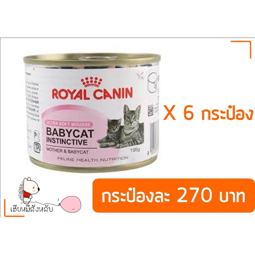 Royal Canin Babycat 6 กระป๋อง