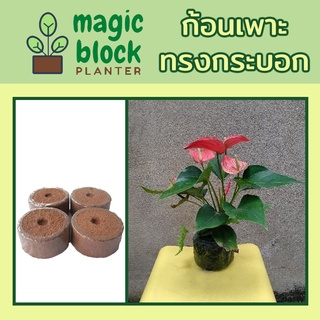 Magicblock ก10.5 ก้อนเพาะปลูกมหัศจรรย์แบบทรงกลม ขนาด กว้าง 10 x สูง 5 ซม