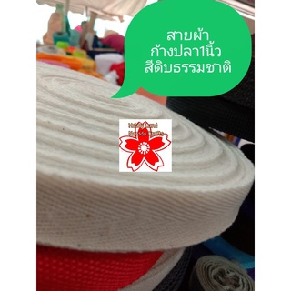 สายผ้าฝ้าย ริบบิ้น ก้างปลา บางไม่หนา สีดิบธรรมชาติ กว้าง1นิ้ว เมตรละ6บ