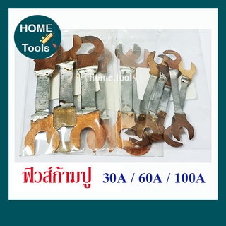 ฟิวส์ก้ามปู ก้ามปูไฟฟ้า 30A 60A 100A (ห่อละ 4-5อัน)