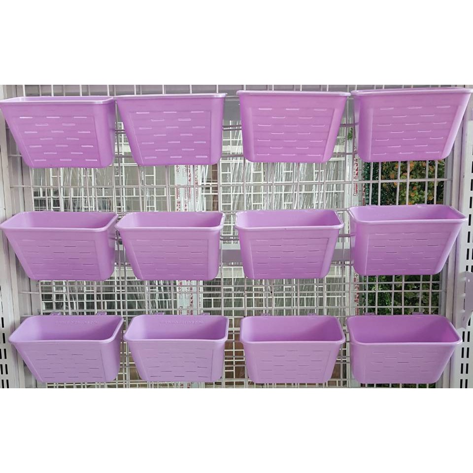 กระถางต้นไม้ ขนาดใหญ่ สีม่วง 12 ใบแถมสีชมพู 3  ใบ