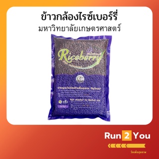 ข้าวกล้องไรซ์เบอร์รี่ บรรจุ 1 กิโลกรัม จากศูนย์วิทยาศาสตร์ข้าว มหาวิทยาลัยเกษตรศาสตร์ ข้าว ข้าวไรซ์ ไรซ์เบอรี By Run2You