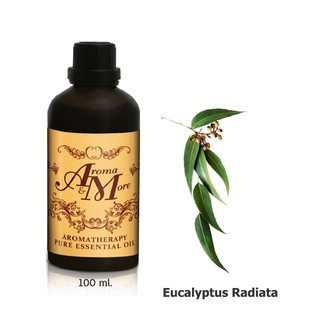 Aroma&amp;More  Eucalyptus (Radiata) Essential oil 100%  น้ำมันหอมระเหยยูตาลิปตัส 100% , Australia 100ML