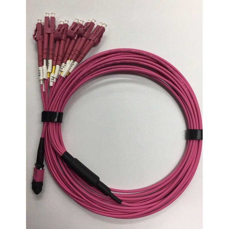 MPO/F-LC 12 Fiber OM4  cable 5.M