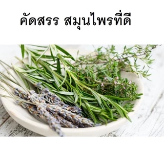 ไล่แมลงวัน(1ลิตร) แมลหวี่ ในถังขยะ ในห้องครัว (ML-1) ตัดวงจรพาหะนำเชื้อโรค ออแกนิคสมุนไพร