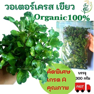 วอเตอร์เครสเขียว สด Organic100% 300 กรัม 100กิ่ง++ คัดพิเศษ เกรดA คุณภาพ สลัดน้ำ เก็บสด ไร้สารเคมี สมุนไพร น้ำคลอโรฟิล