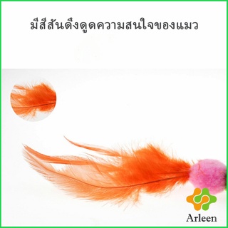 Arleen ของเล่นแมว ลวดตกของเล่นแมว ขนนก อุปกรณ์สัตว์เลี้ยง Funny cat