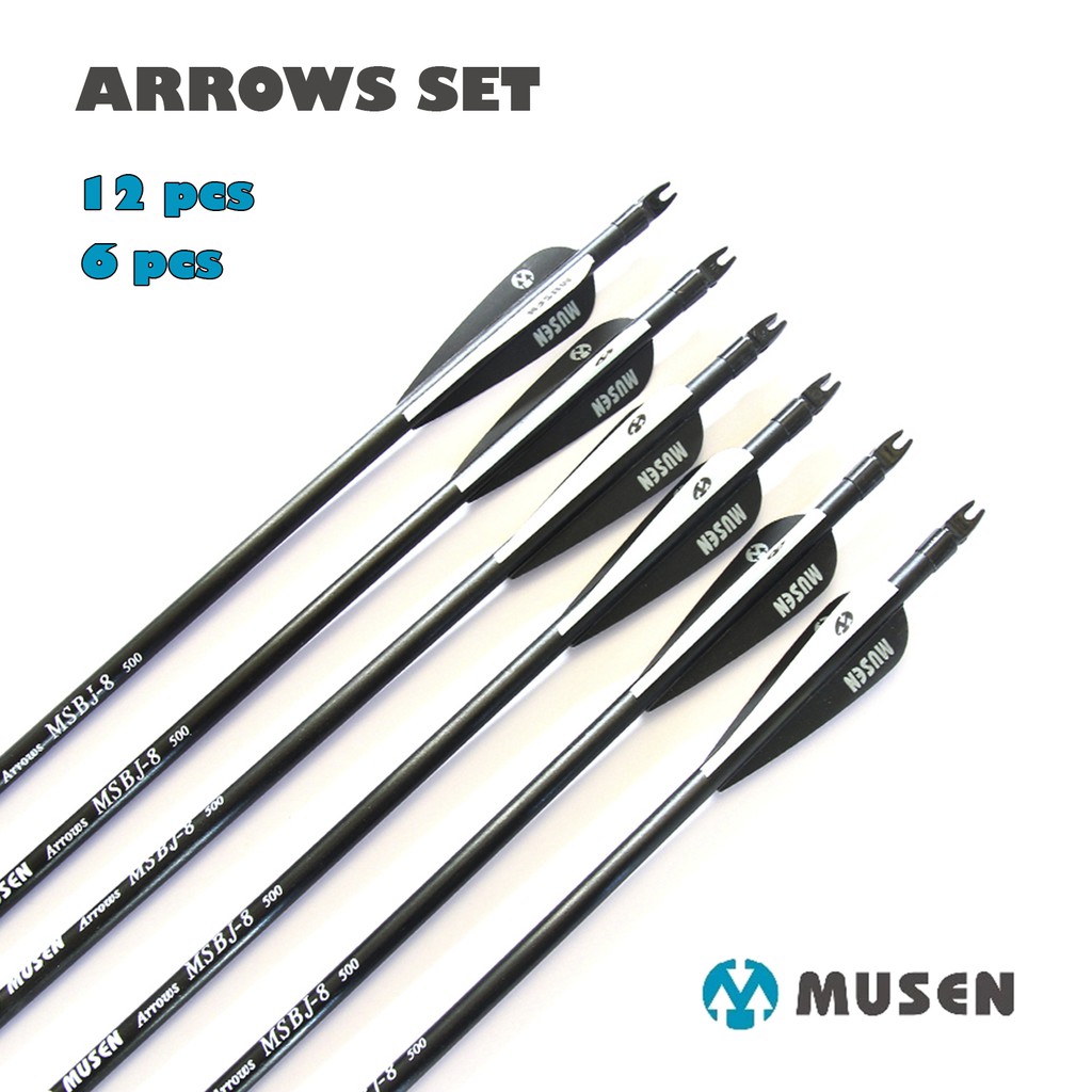 6-12pcs 80cm Spine 500 MSBJ-8 Fiberglass Arrows with Changeable Arrow ...