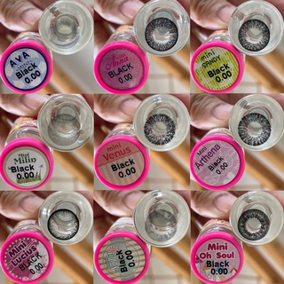 mini Black มินิ สีดำ Contact lens คอนแทคเลนส์ Kitty Kawaii ค่าอมน้ำสูง เลนส์พรีเมี่ยม สายตาปกติ Bigeyes Cleen Soff Venus