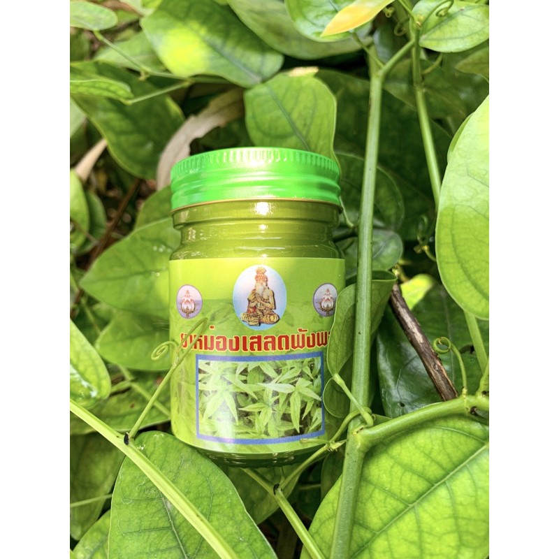 เสลดพังพอน ตำรับหมอกร เสลด