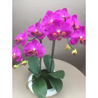 OrientalFineArt ดอกกล้วยไม้ปลอม phalaenopsis orchid plant flower pot arrangement