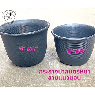 ลด50%ใส่โค้ดINCS83L -กระถาง ปากแตร รุ่นหนา ลายแนวนอน