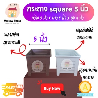 [1 ใบ] กระถางทรง SQUARE 5 นิ้ว กระถางต้นไม้พลาสติก กระถาง 5 นิ้ว กระถางกระบองเพชร กระถางไม้กราฟ กระถางไม้โขด กระถางบอนไซ