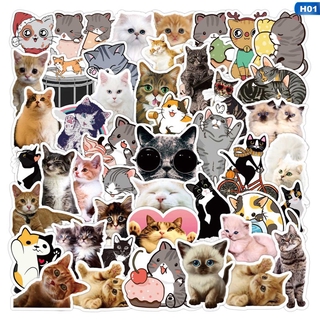 สติ๊กเกอร์ไวนิลรูปแมวน่ารักสําหรับตกแต่ง 50 ชิ้น