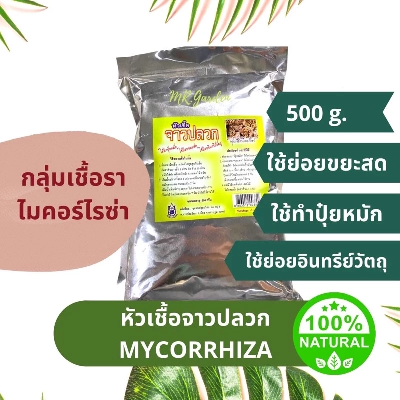 PTA 500g. หัวเชื้อจาวปลวก แบบผง กลุ่มเชื้อราไมคอร์ไรซ่า Mycorrhiza