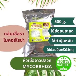 หัวเชื้อจาวปลวก กลุ่มเชื้อราไมคอร์ไรซ่า Mycorrhiza 500g.