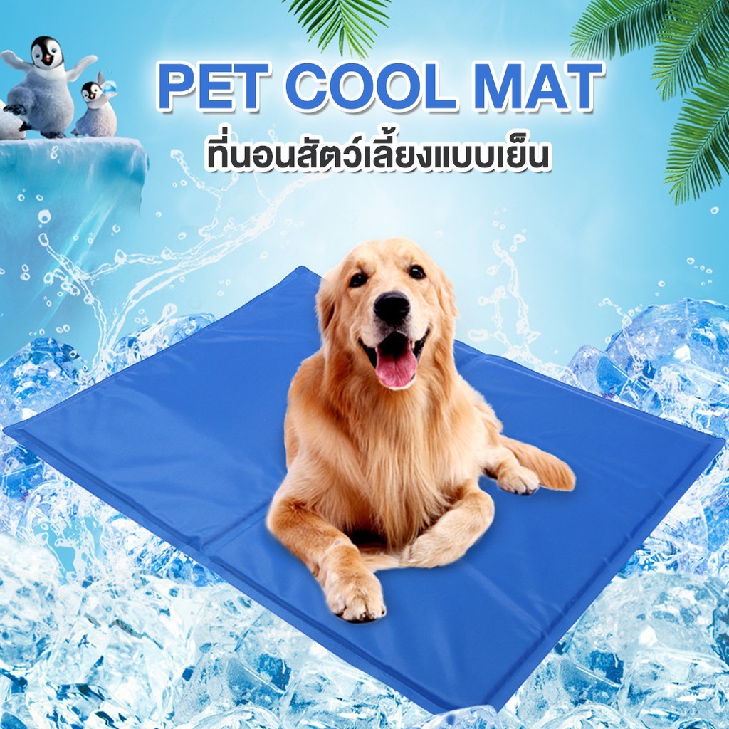 Super home shop Pet Cool mat แผ่นเจลเย็น ที่นอนเย็น สำหรับสุนัขและแมว Size MD ขนาด 19.5x25.6 รุ่น Pe