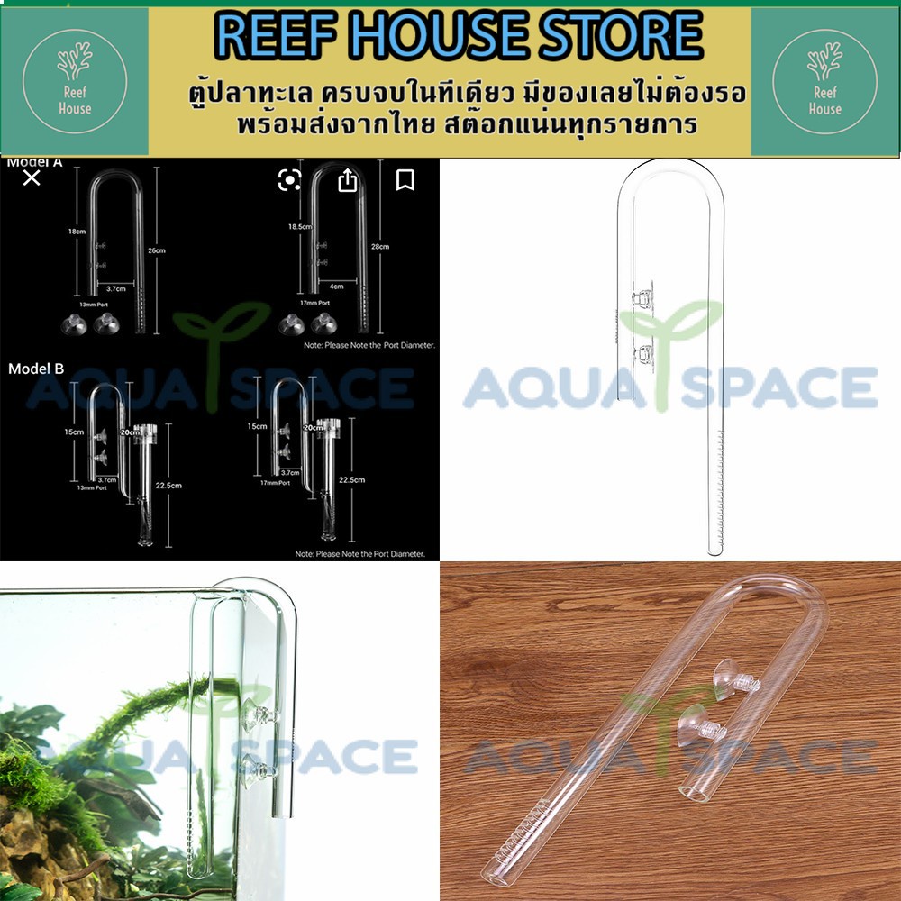 Lilly inflow Aquarium Planted Glass Inflow outlet  อินโฟลแก้ว มีประกันในการส่ง อุปกรณ์ไม้น้ำ ตู้ไม้น