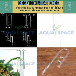 Lilly inflow Aquarium Planted Glass Inflow outlet  อินโฟลแก้ว มีประกันในการส่ง อุปกรณ์ไม้น้ำ ตู้ไม้น้ำ ยูไทป์