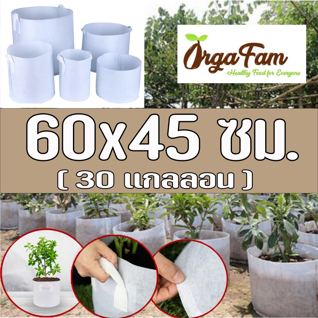 กระถางผ้า Smart pot ถุงผ้าปลูกต้นไม้ ถุงปลูกต้นไม้ โตไว รากแข็งแรง สีขาว ขนาด 60x45 ซม. (1แกลลอน) - [ 1 ชิ้น ]- Orgafam