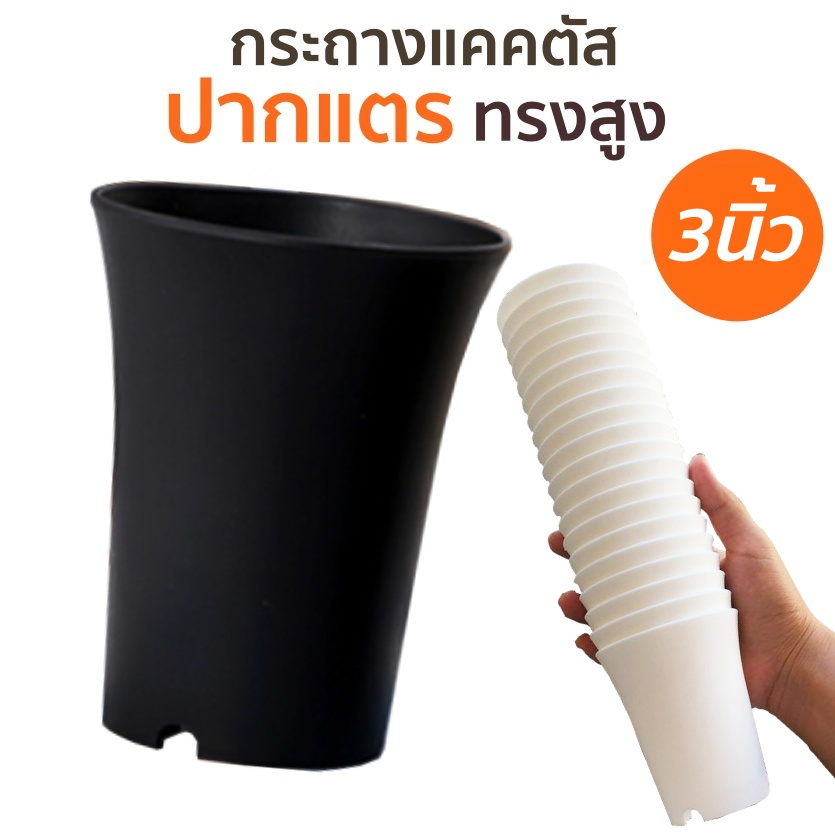 กระถางแคคตัสปากแตร 3 นิ้ว กระถางกลม ทรงสูง พลาสติก เหมาะสำหรับเลี้ยงกระบองเพชร