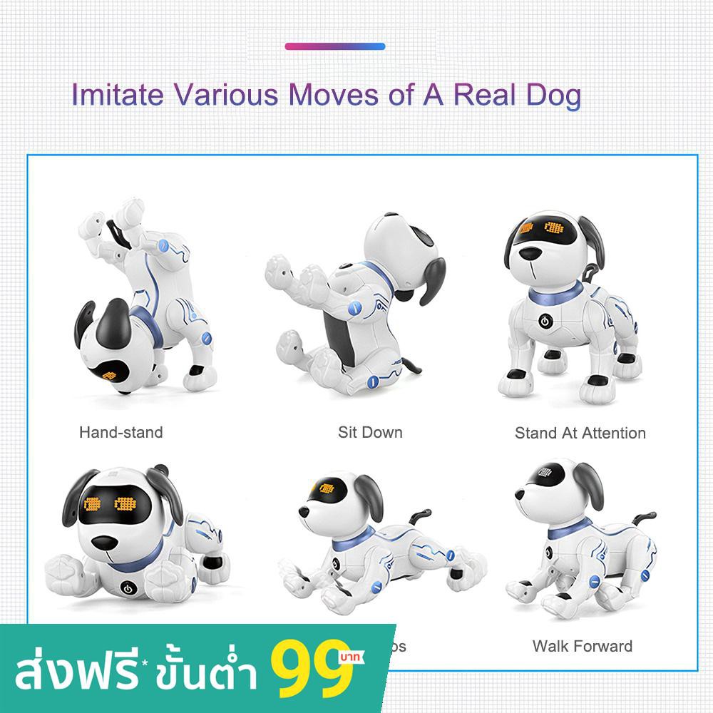 LE NENG TOYS K16A Electronic Animal Pets RC Robot Dog Voice Remote Control  Music Song Toy for Kids Birthday Gift | Shopee Thailand