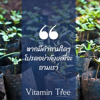 โบคุ่ม ยาเชื้อรา ไม้ใบ ไม้ด่าง สูตรครีม ใบไม่ไหม้ อีทาบอกแซม ราน้ำค้าง ราสนิม รากเน่า โคนเน่า ไฟทอปทอร่า 100 มิลลิลิตร