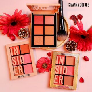 INTENSITY BLUSHER PALLETTE : HF5025