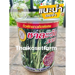 เมล็ดถั่วฝักยาวพิจิตร ชาละวัน333 ขนาด500กรัม ใหม่‼️ดกมาก ทนโรค💥