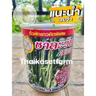 เมล็ดถั่วฝักยาวพิจิตร ชาละวัน333 ขนาด500กรัม ใหม่‼️ดกมาก ทนโรค💥