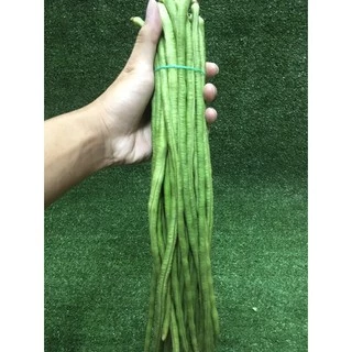 ถั่วฝักยาวสด🥒 - ผักผลไม้