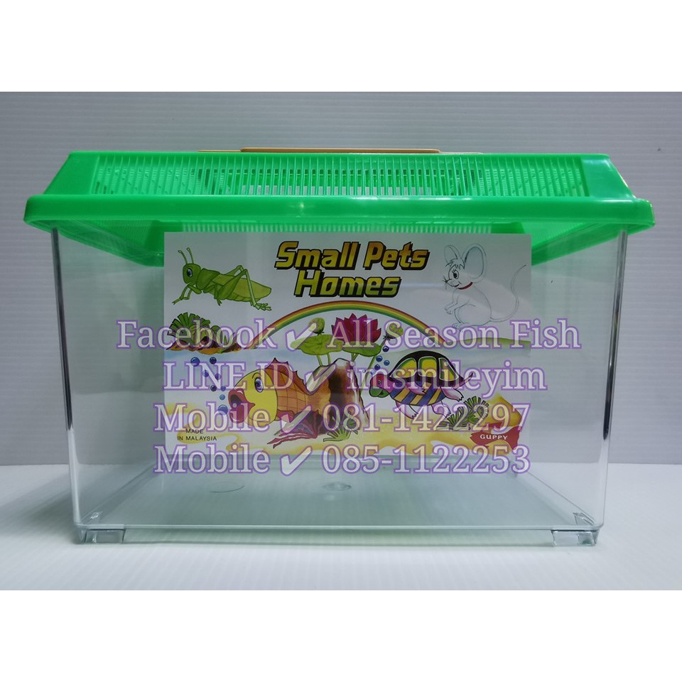 GUPPY กล่องพลาสติก สามารถใส่เลี้ยงกุ้ง หอย ปู ปลา เต่า แมลง สัตว์เลื้อยคลาน ฯลฯ WC