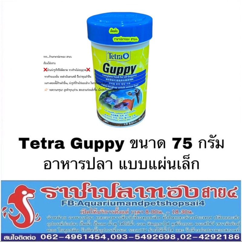 Tetra Guppy ขนาด 75 กรัม
