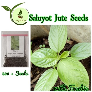 SaluyotผักJute 500 Seedsดอกไม้/เมล็ด/กางเกง/เมล็ด/ดอกทานตะวัน/เด็ก/ผักชี/ผู้ชาย/สร้อยข้อมือ/มะละกอ/ FQWE