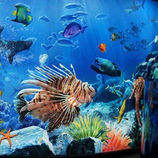 บัตร SEA LIFE Bangkok Ocean World