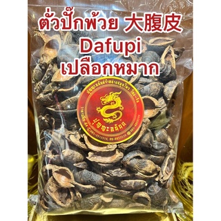 ตั่วปั๊กพ้วย 大腹皮 Dafupi ไต่ปั๊กพ้วย ต้าฝูผี ปั๊กพ้วย ปั๊กผ้วย ตั่วปั๊กพ้วย เปลือกหมาก เปลือกหมากแห้ง