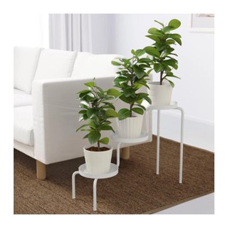 IPS2014 ที่วางกระถางต้นไม้ Plant stand 70*53 cm (ขาว)