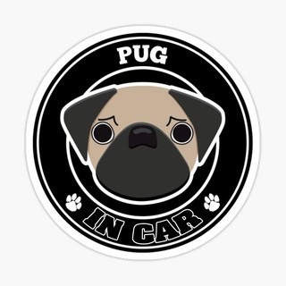 สติ๊กเกอร์ติดรถ แต่งรถ สติ๊กเกอร์ แม่เหล็กติดรถยนตร์ สติ๊กเกอร์หมา Pug in Car  - DGC8