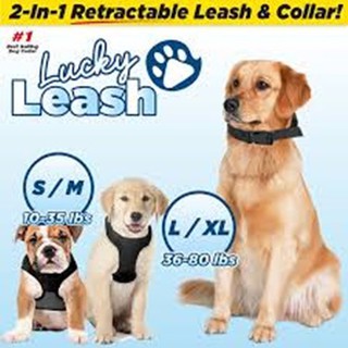 สายจูงสุนัข Lucky Leash ไซส์L/XL 36-80 lbs  ใช้ง่าย เพียงคล้องตัวล็อคที่คอของน้องหมา