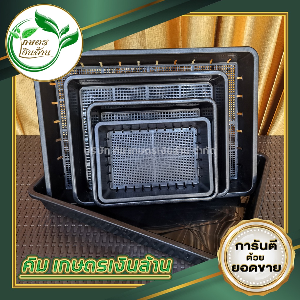 [ส่งฟรี]ถาดไดโซะอย่างดี ยกโหล 159บาท By.คิม เกษตรเงินล้าน